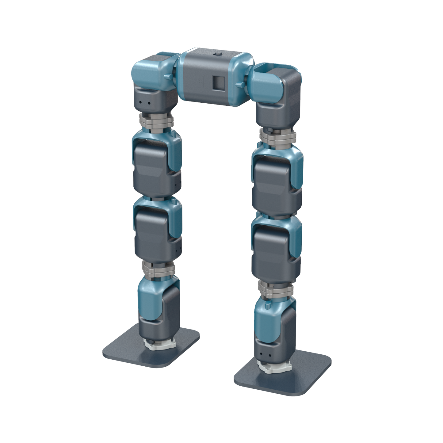 Biped Walking Robot