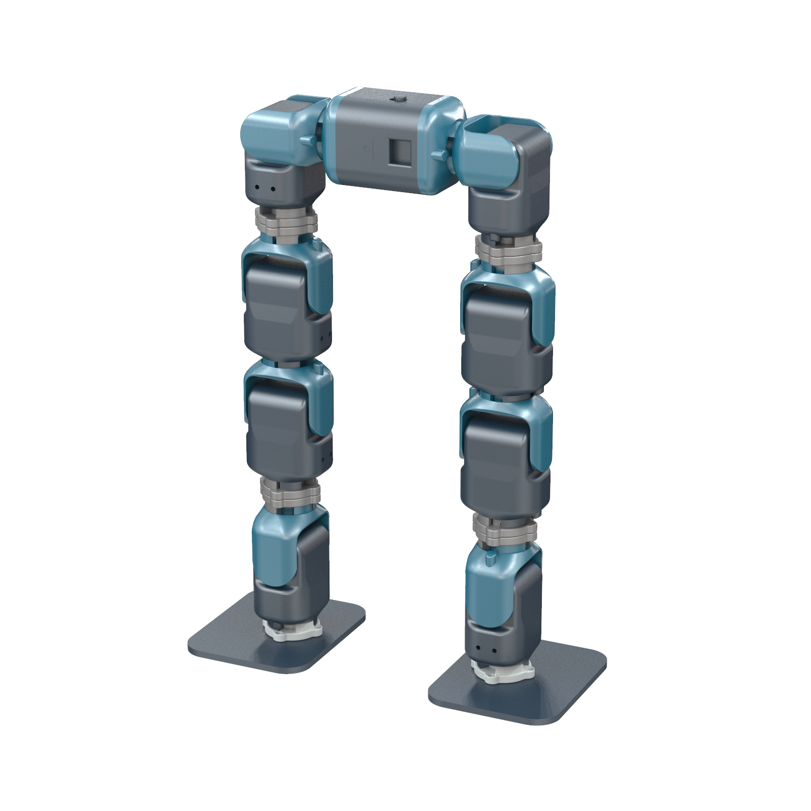 Biped Walking Robot