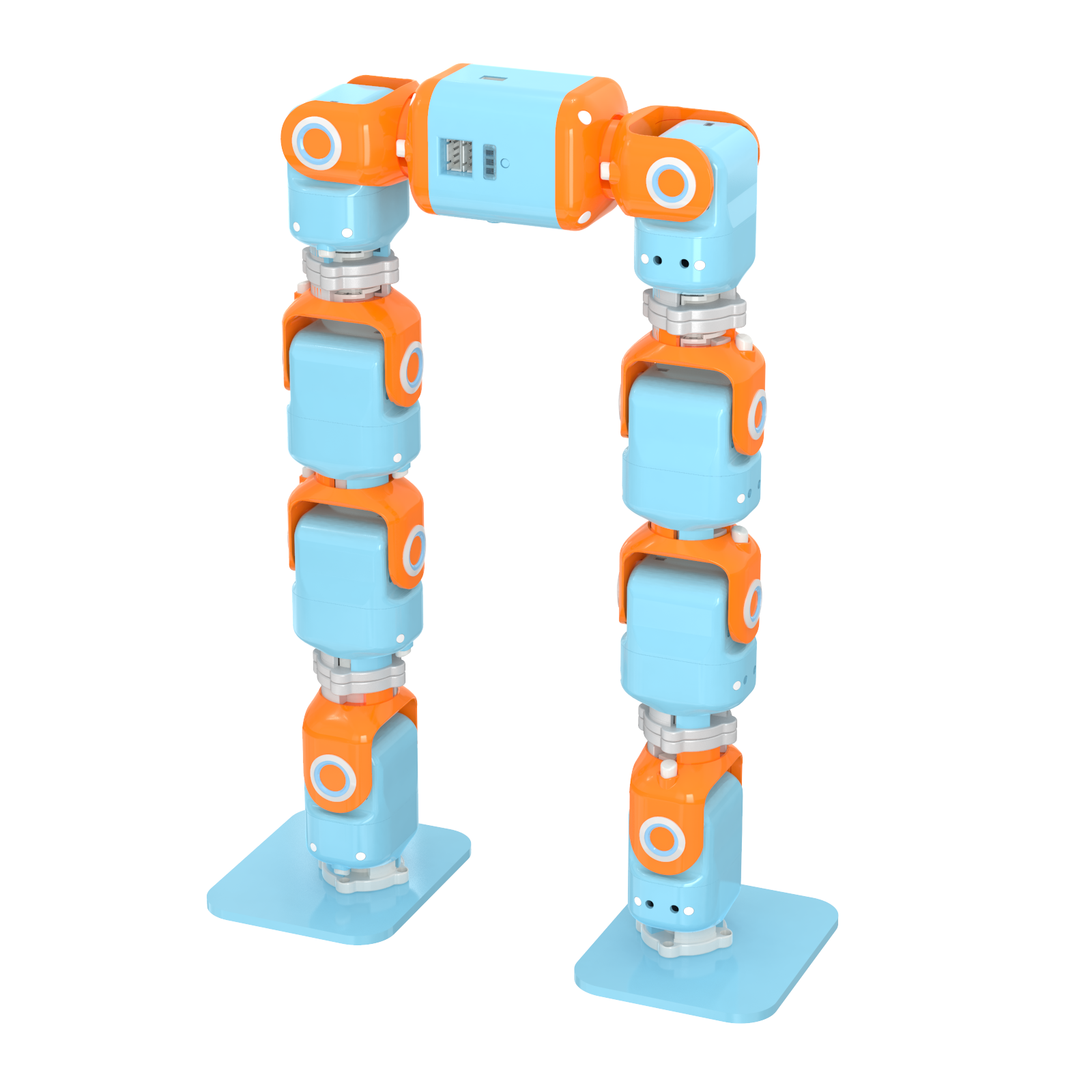 Biped Walking Robot
