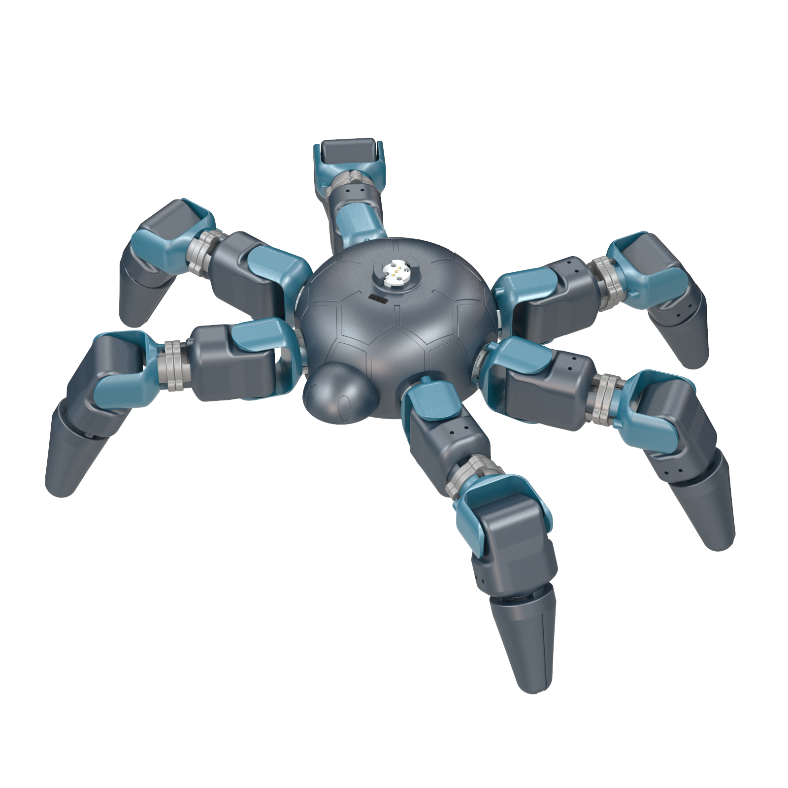Biomimetic Spider Robot