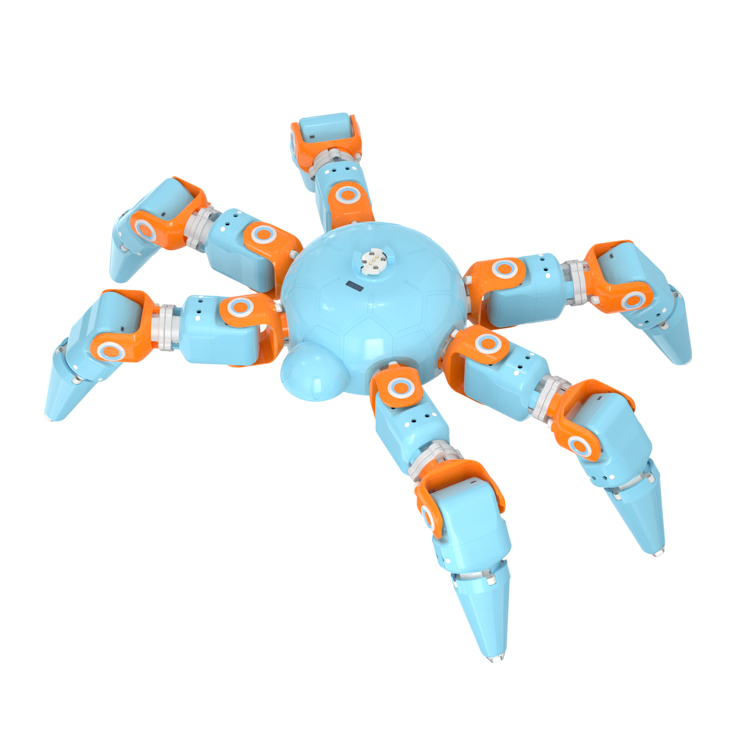 Biomimetic Spider Robot